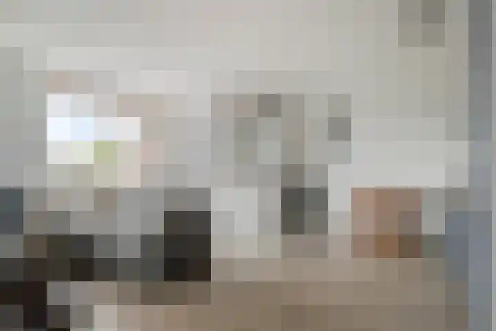 Braak 108 Veldhoven thumbnail 13