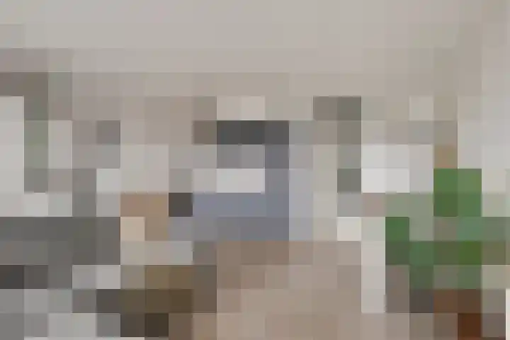Braak 108 Veldhoven thumbnail 17