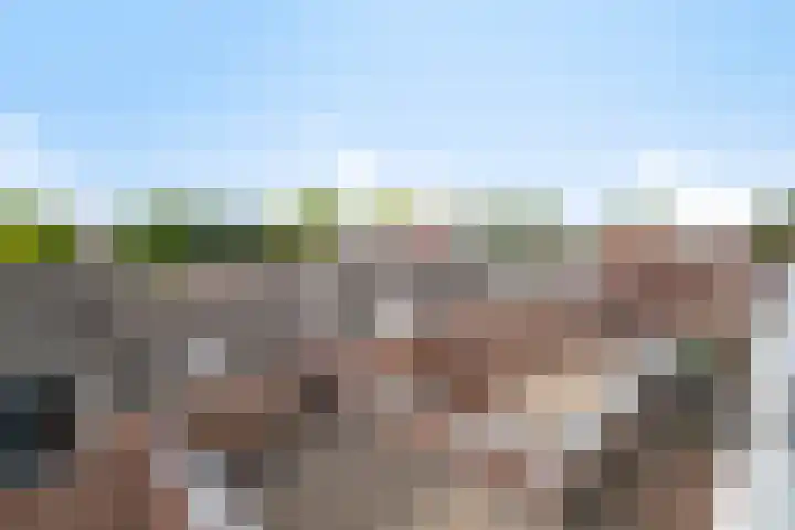 Braak 108 Veldhoven thumbnail 31