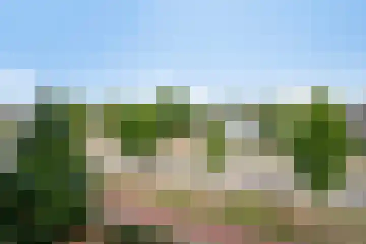 Braak 108 Veldhoven thumbnail 32