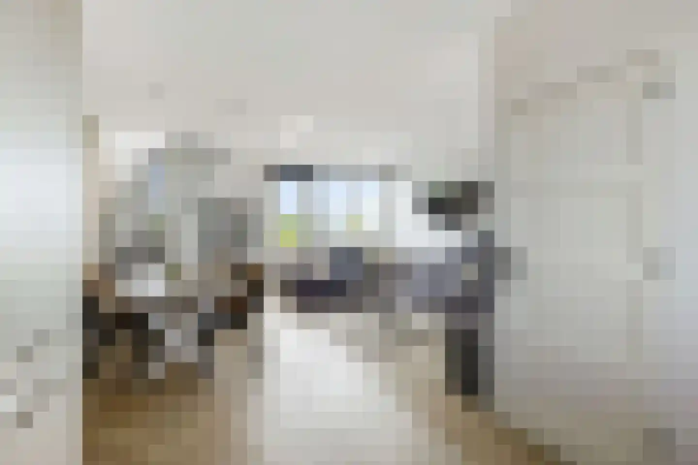Braak 122 Veldhoven thumbnail 12