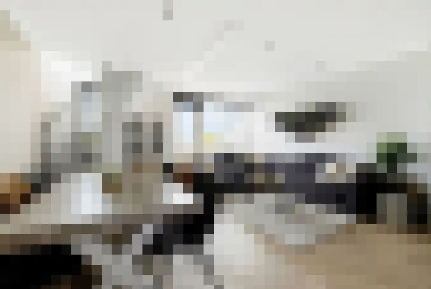 Braak 122 Veldhoven thumbnail 18