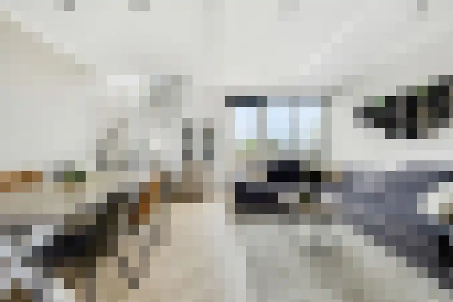 Braak 122 Veldhoven thumbnail 19