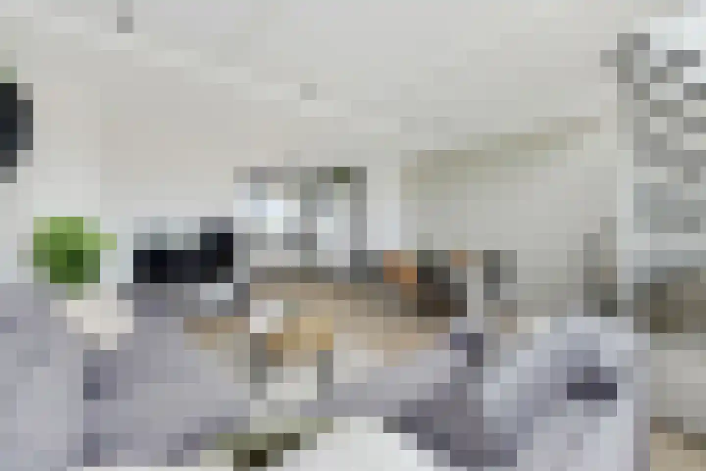 Braak 122 Veldhoven thumbnail 22