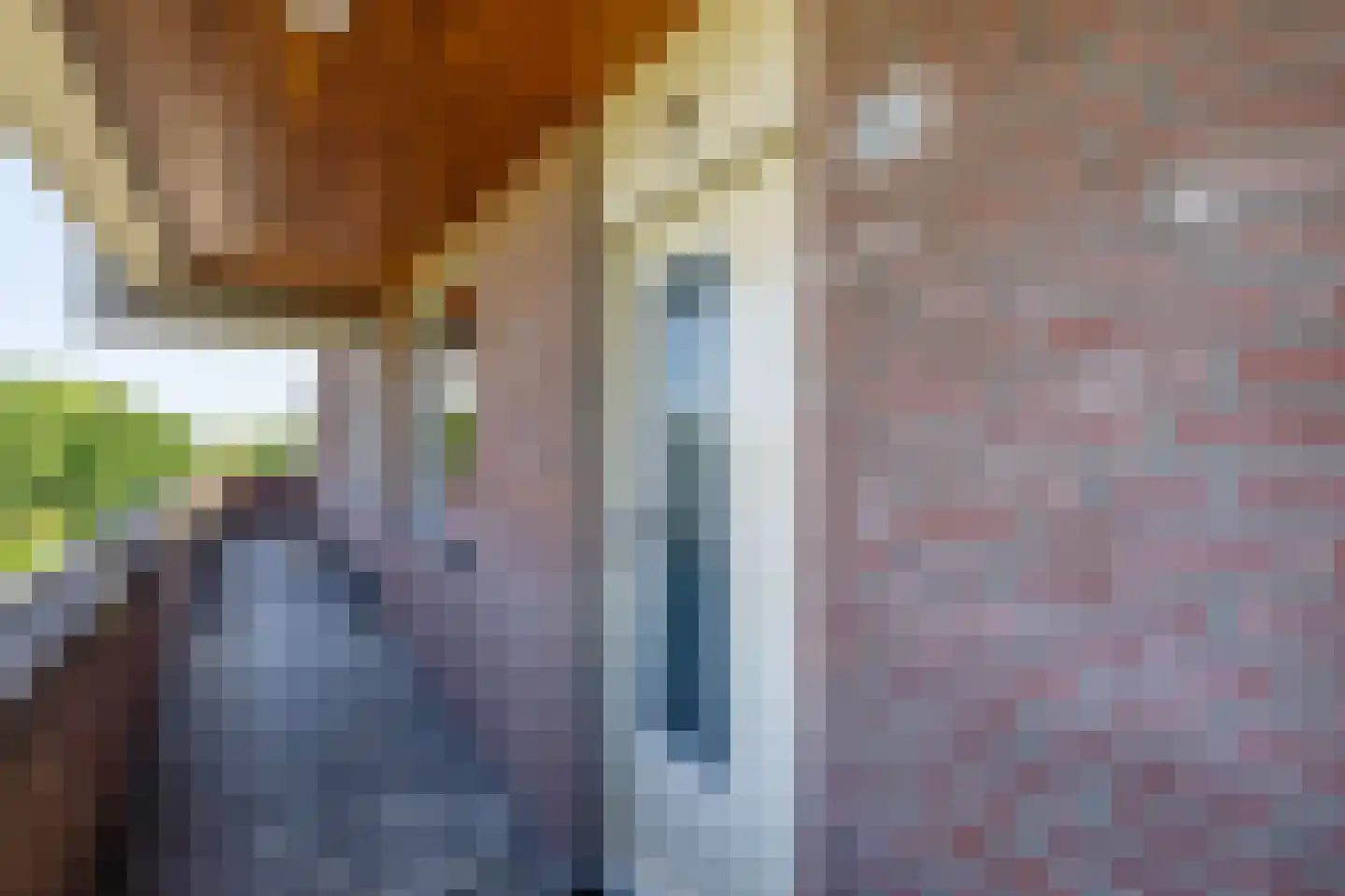 Braak 122 Veldhoven thumbnail 8