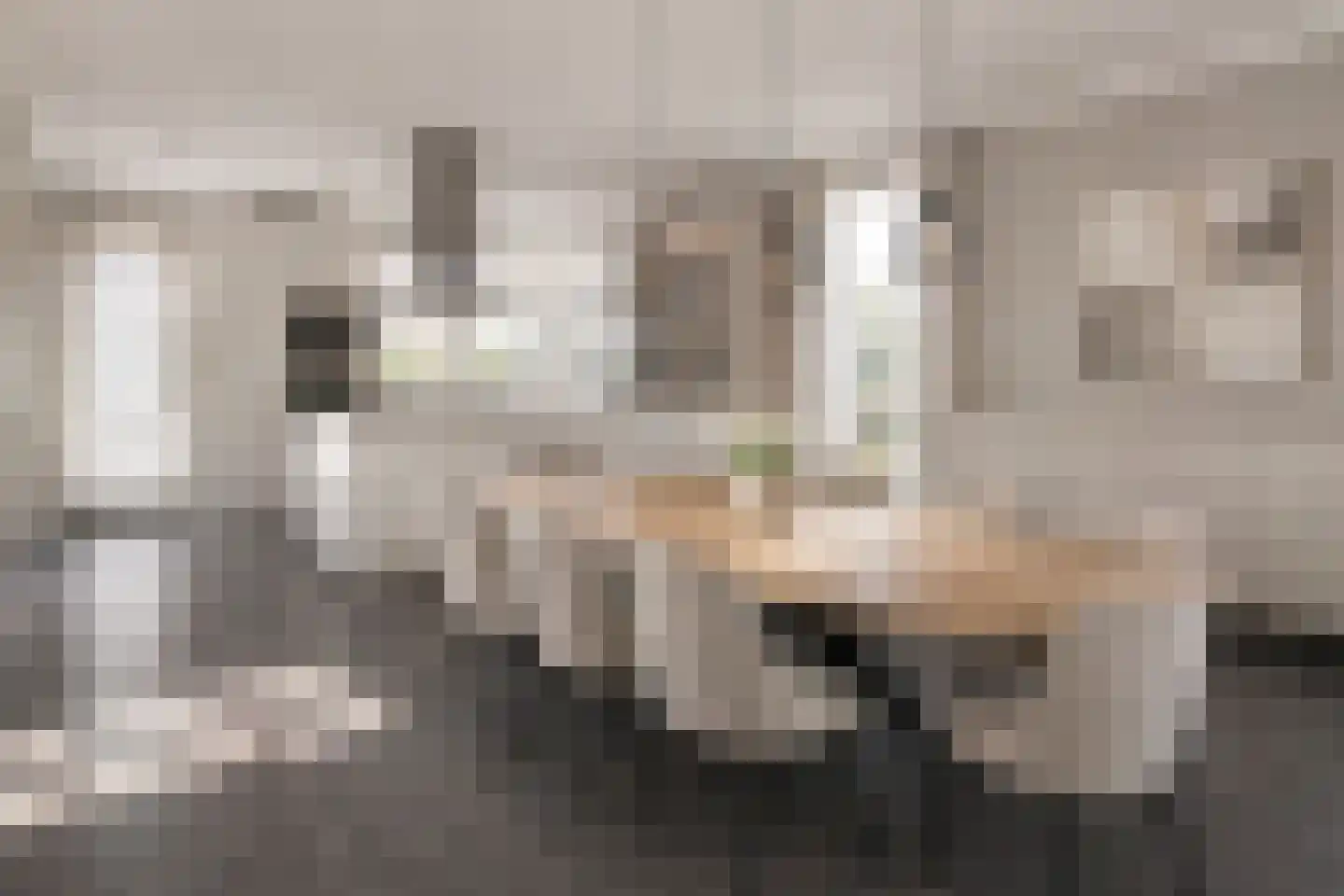 Braak 14 Sint-Oedenrode thumbnail 11