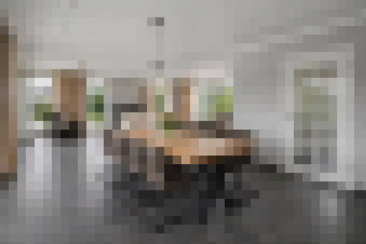 Braak 14 Sint-Oedenrode thumbnail 8