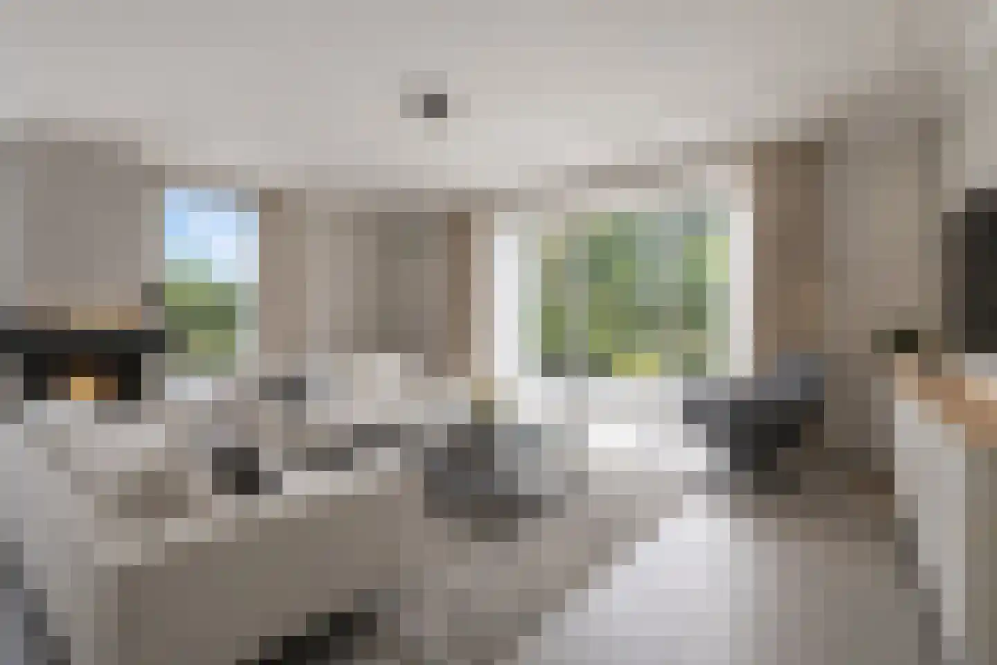 Braak 14 Sint-Oedenrode thumbnail 9