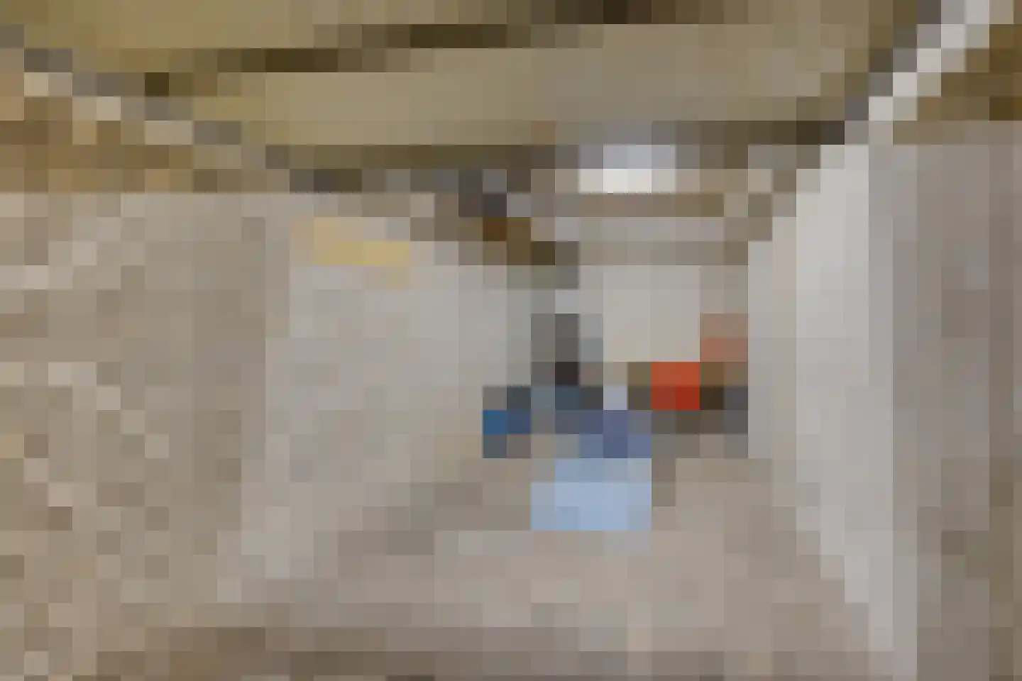 Braak 22 Veldhoven thumbnail 38