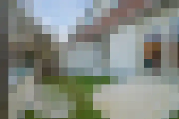 Braak 27 Veldhoven thumbnail 40