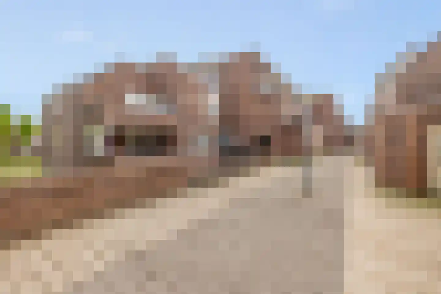 Braak 28 Veldhoven thumbnail 31
