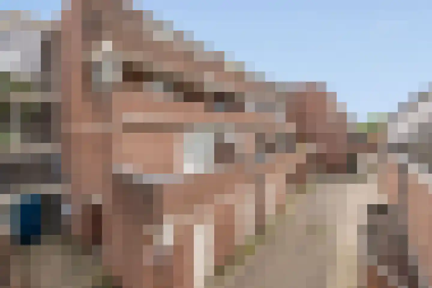 Braak 28 Veldhoven thumbnail 32