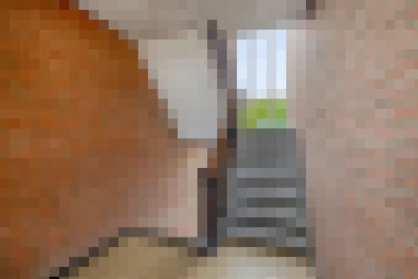 Braak 28 Veldhoven thumbnail 35