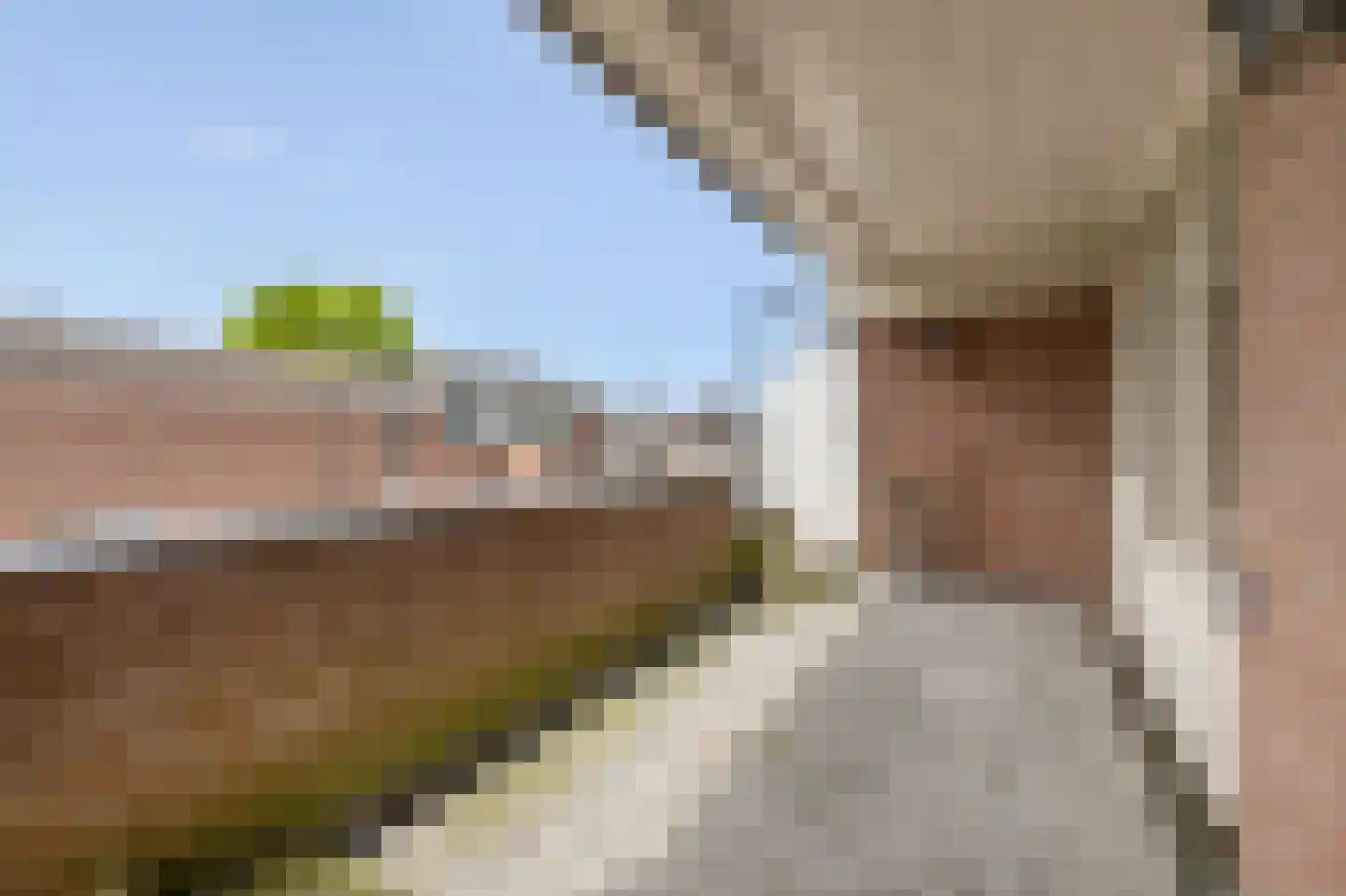 Braak 28 Veldhoven thumbnail 4
