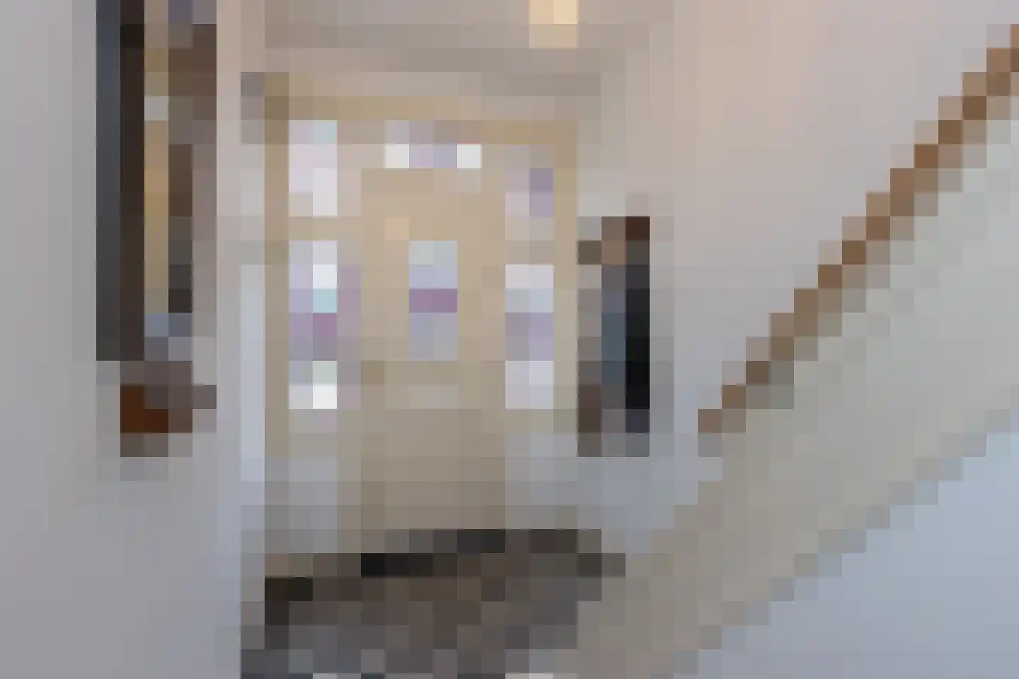 Braak 40 Neede thumbnail 21