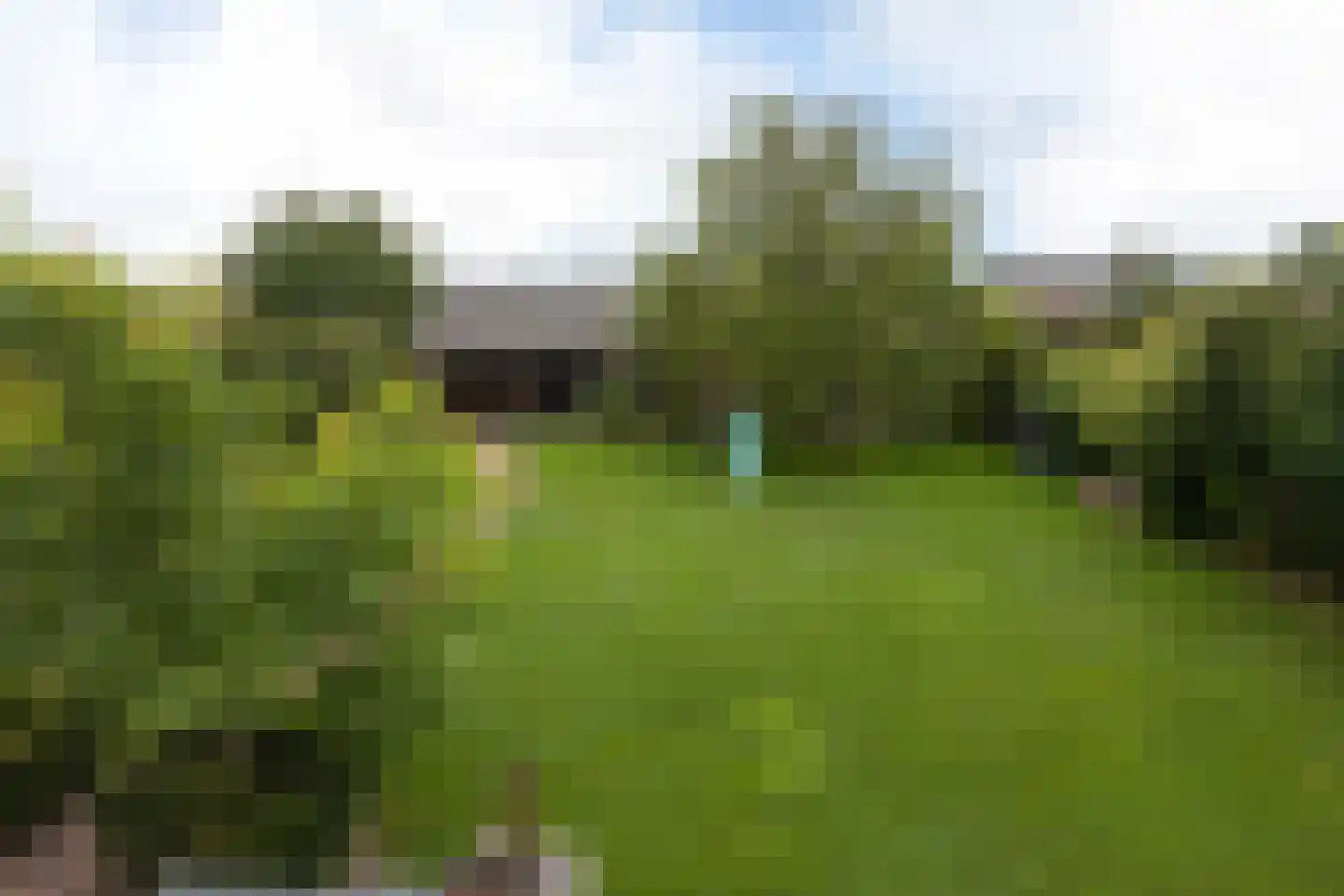 Braak 40 Neede foto 3
