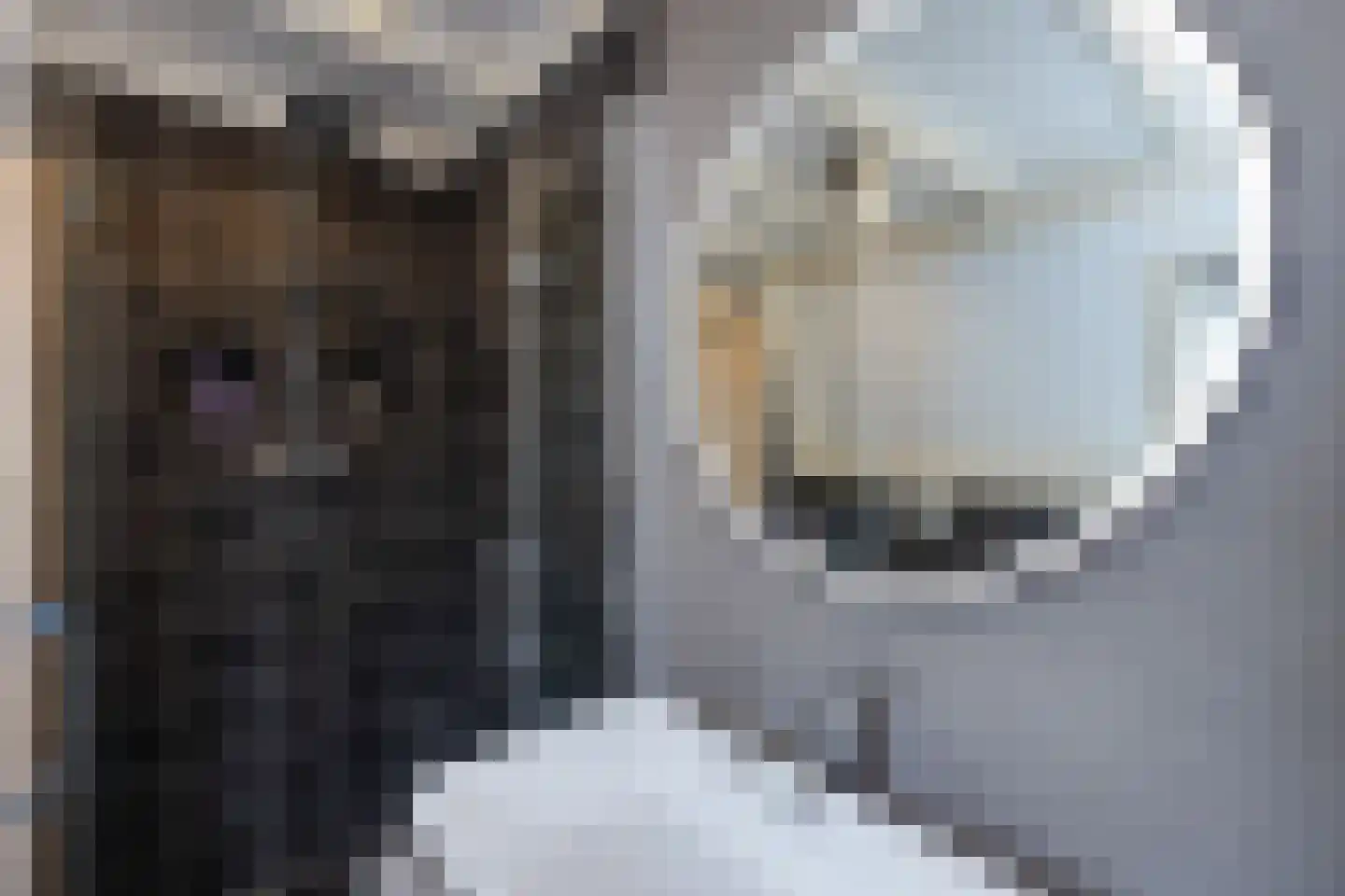 Braak 40 Neede thumbnail 31