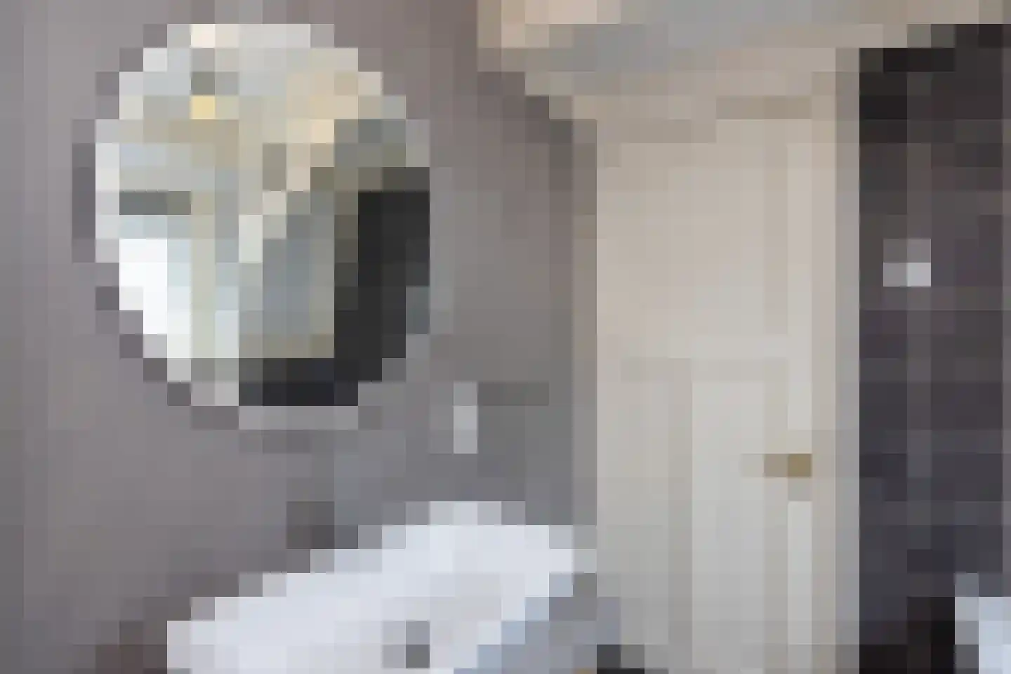 Braak 40 Neede thumbnail 33