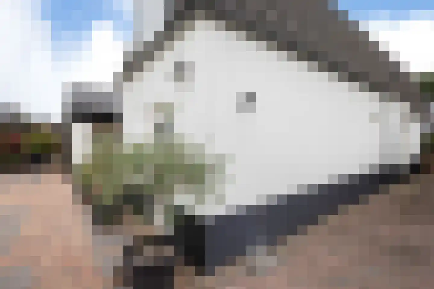 Braak 40 Neede thumbnail 34