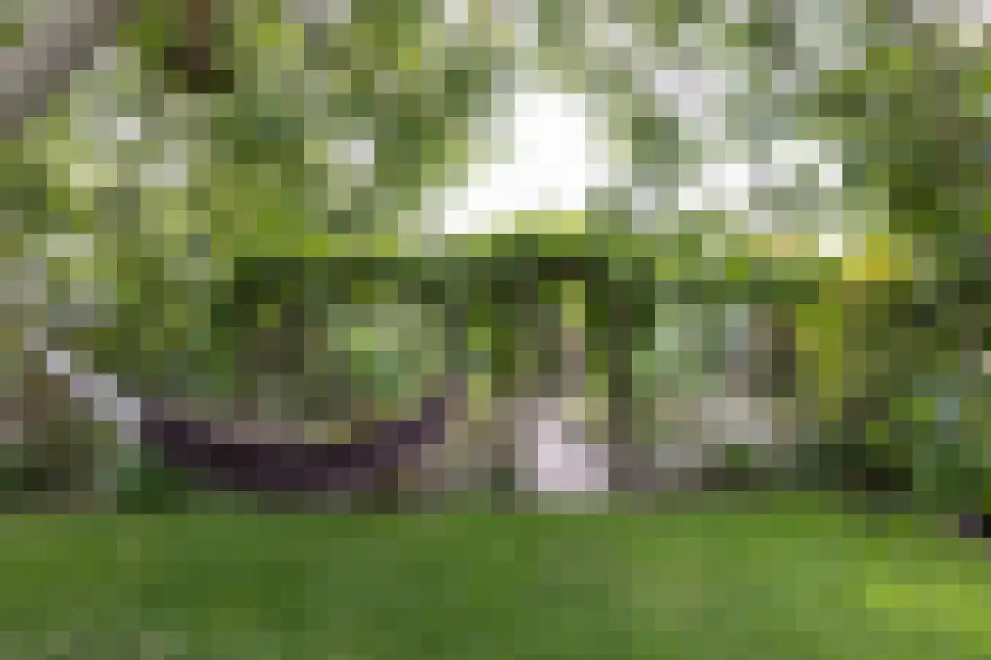 Braak 40 Neede thumbnail 35