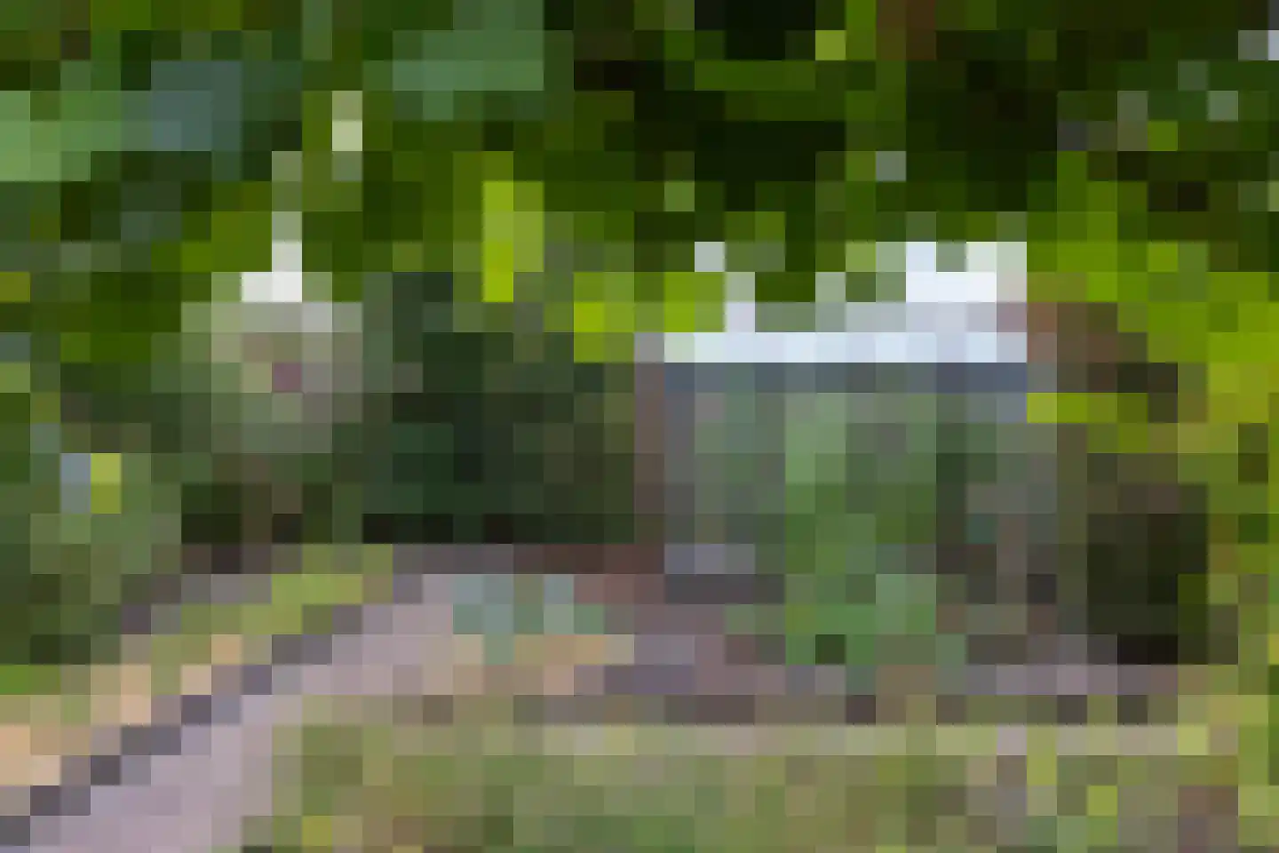 Braak 40 Neede thumbnail 36