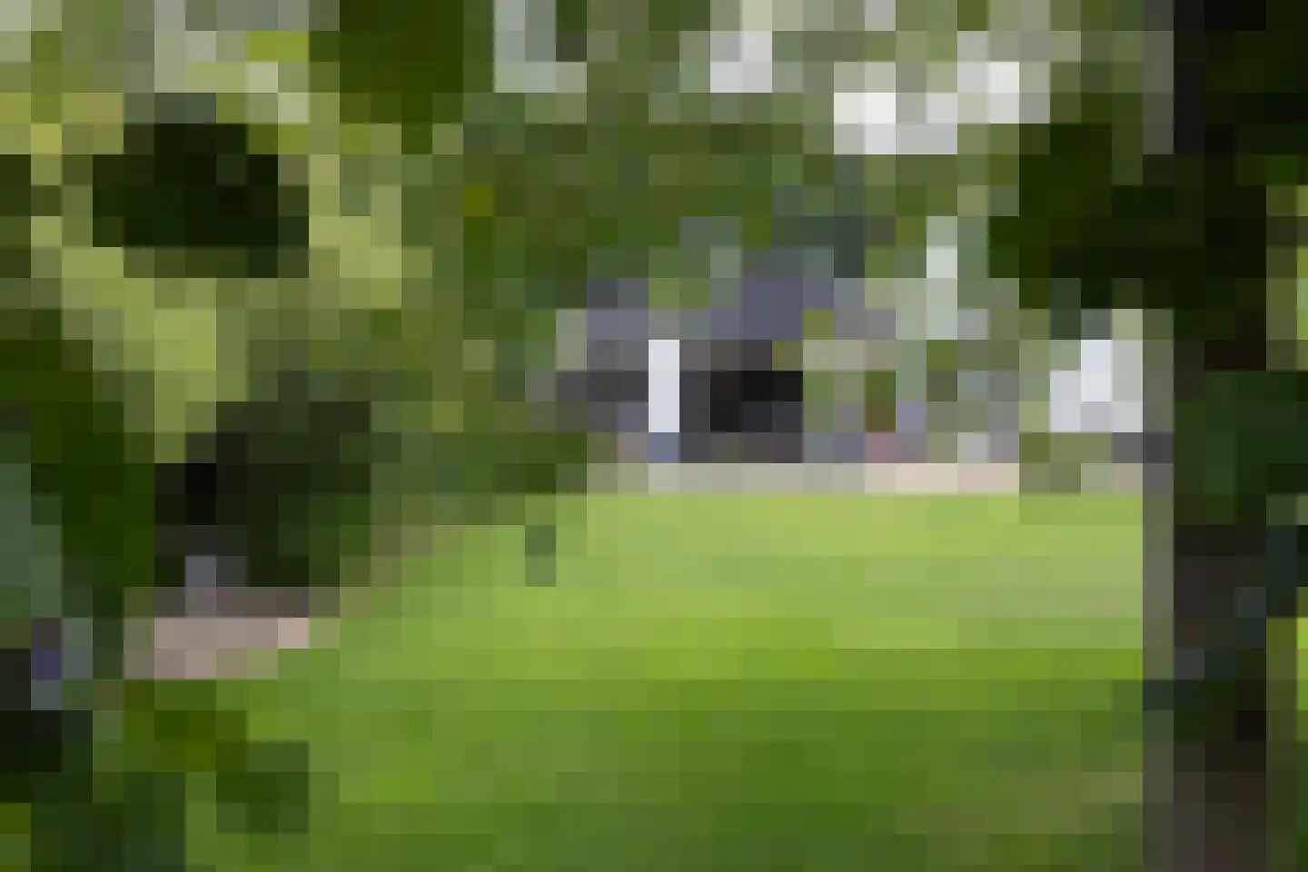Braak 40 Neede thumbnail 37