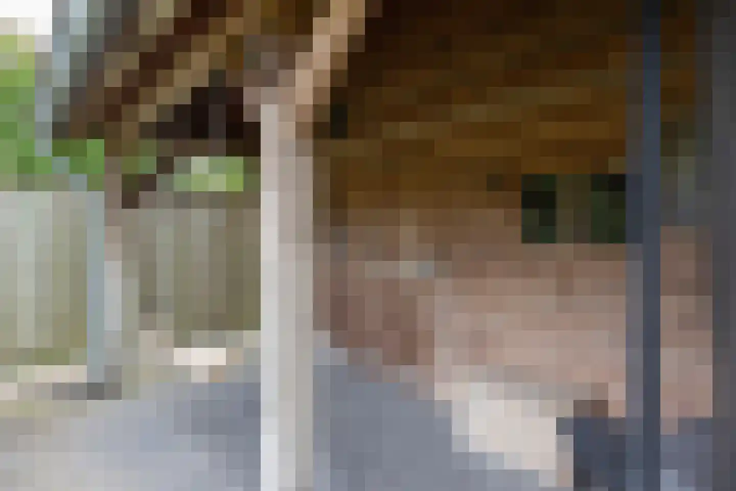 Braak 40 Neede thumbnail 38