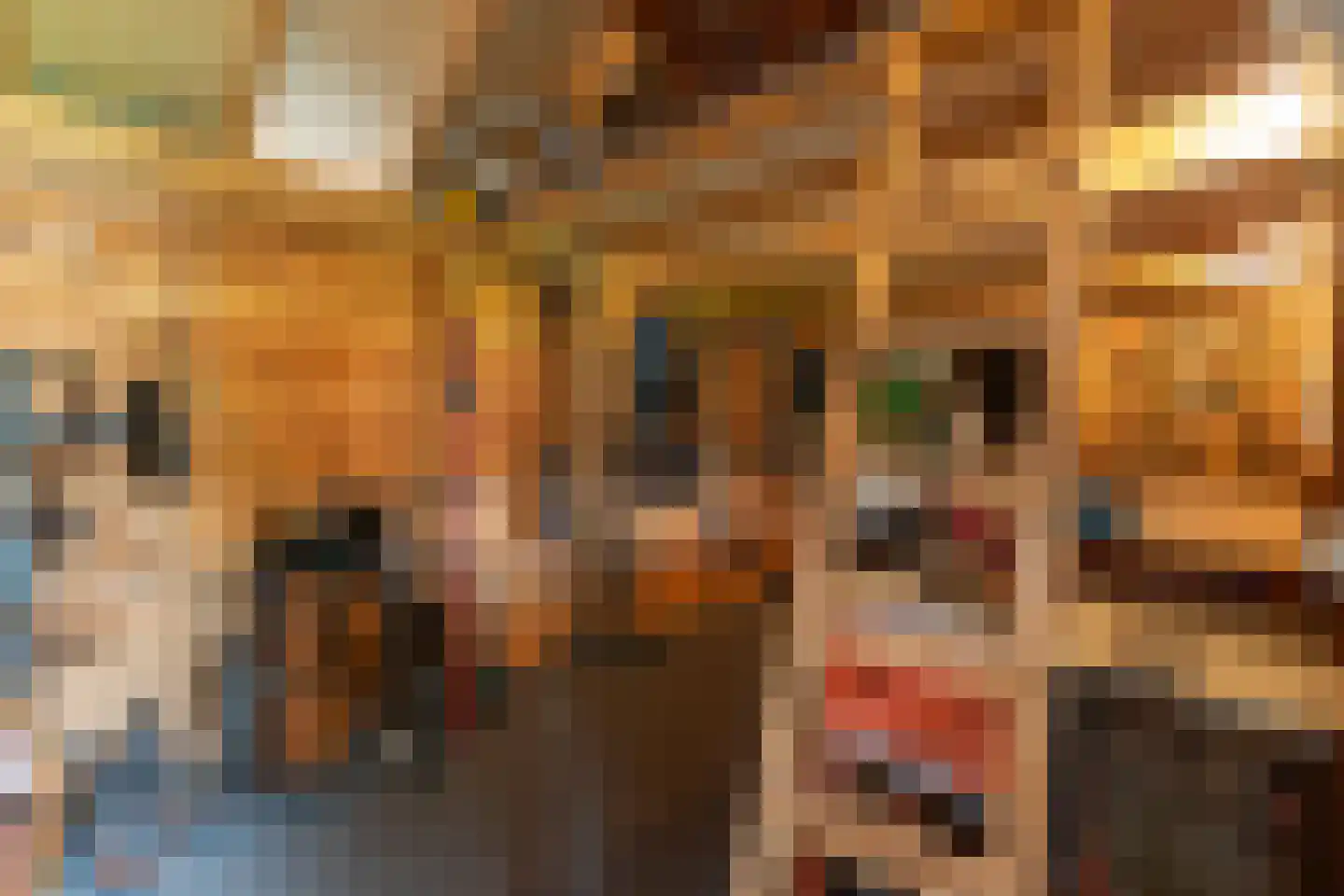 Braak 40 Neede thumbnail 39