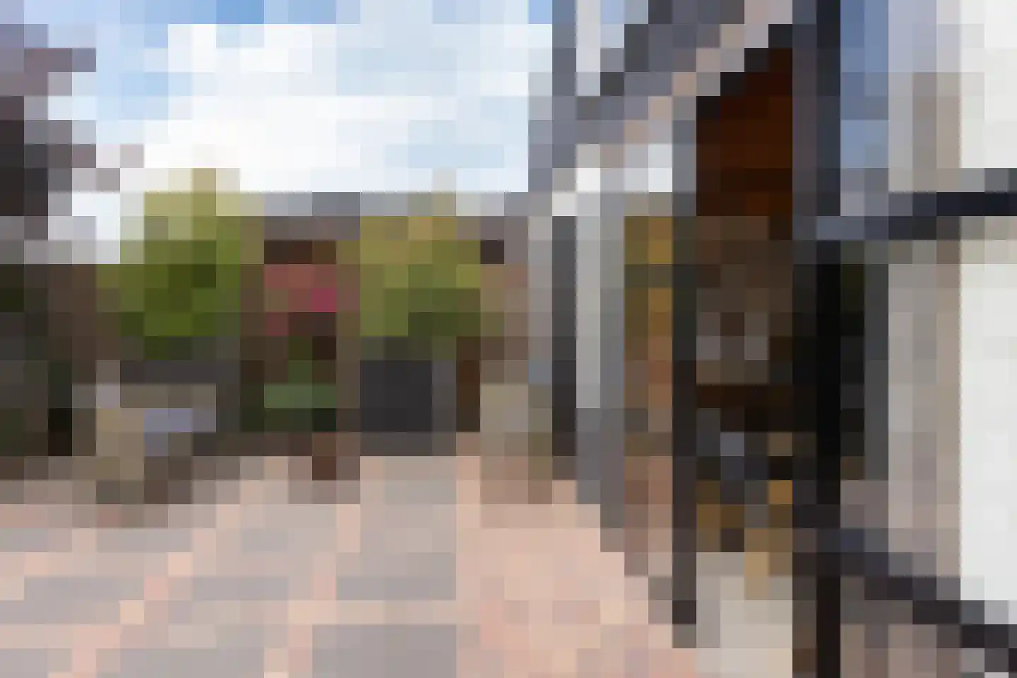 Braak 40 Neede thumbnail 42