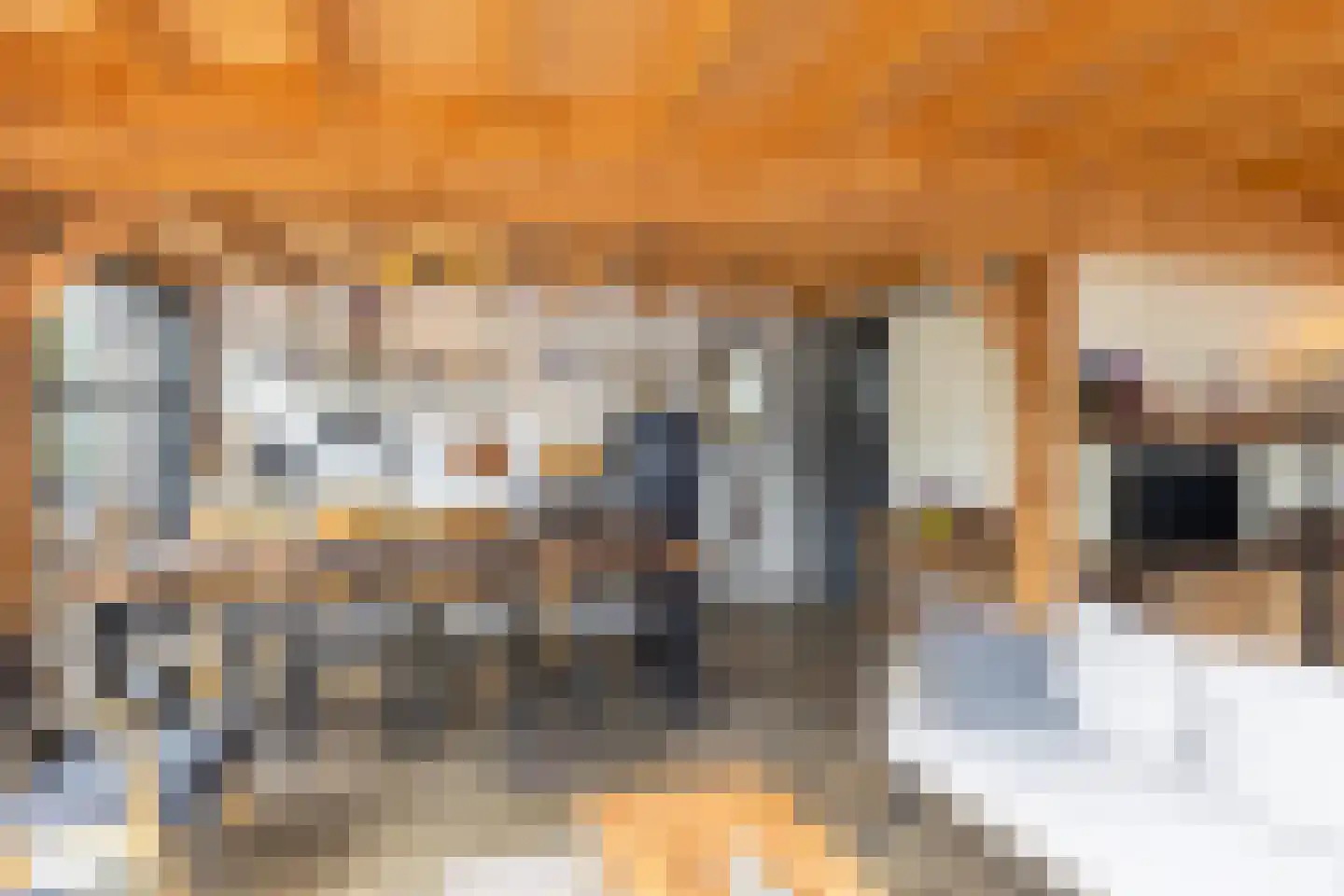 Braak 40 Neede thumbnail 43