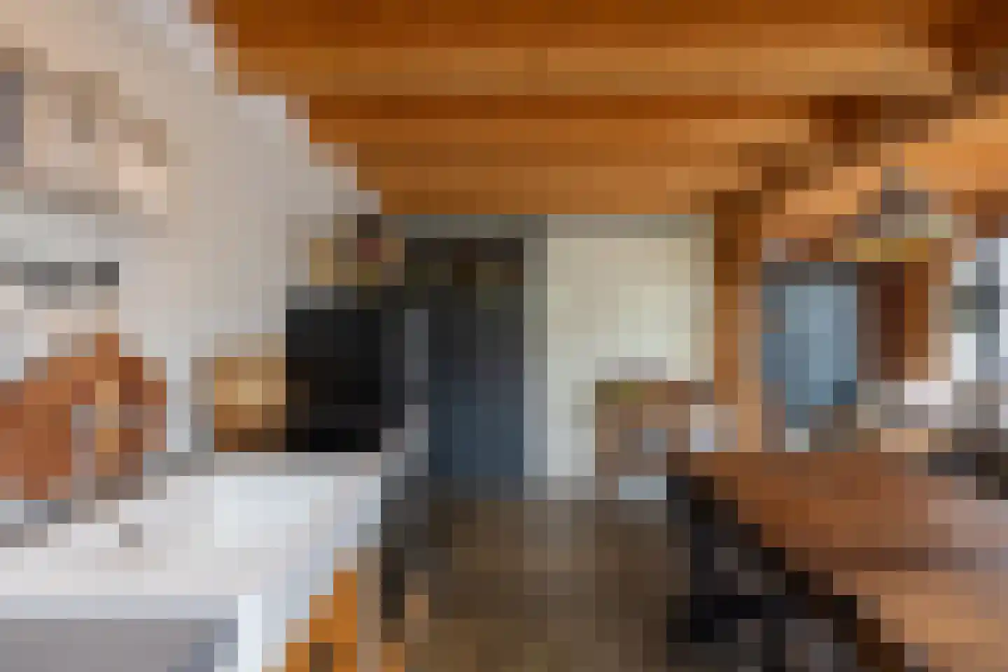 Braak 40 Neede thumbnail 46