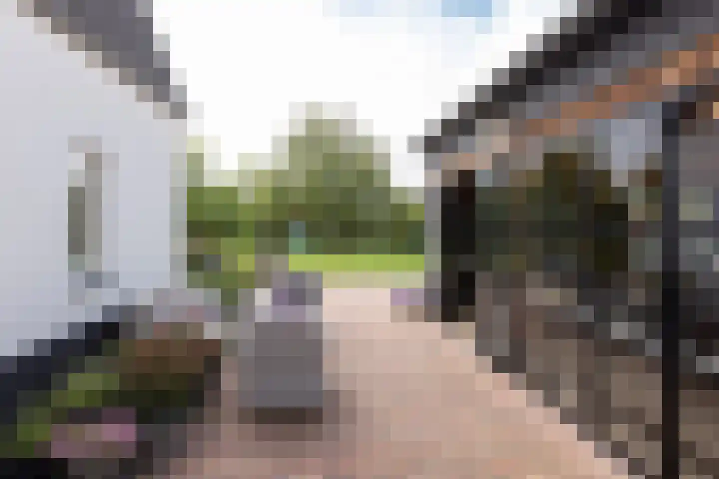 Braak 40 Neede thumbnail 53