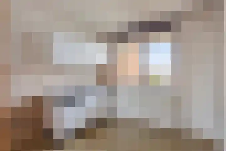 Braak 48 Veldhoven thumbnail 17