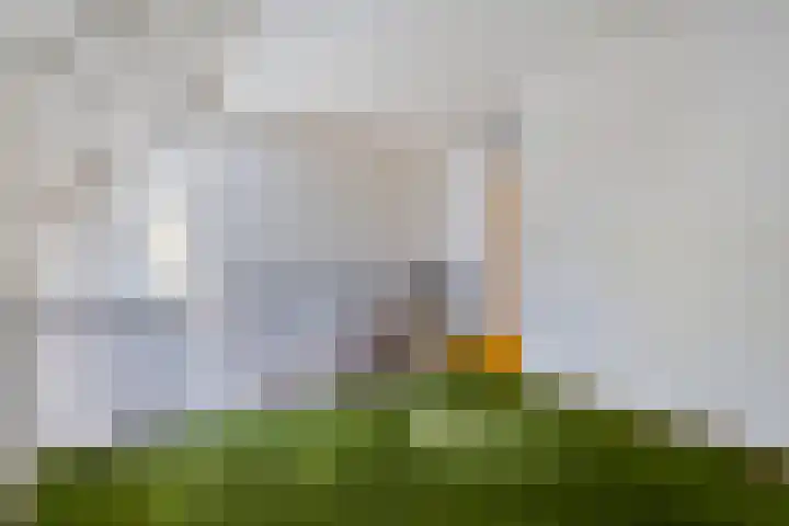 Braak 48 Veldhoven thumbnail 22