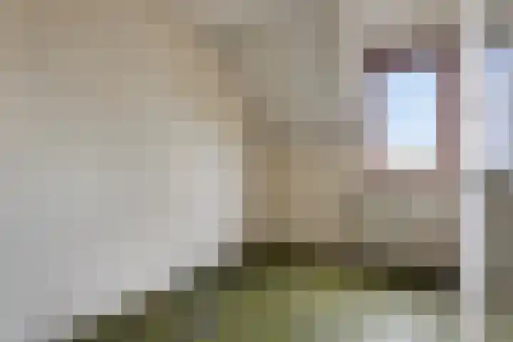 Braak 48 Veldhoven thumbnail 29