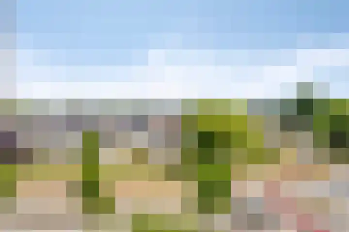Braak 48 Veldhoven thumbnail 30
