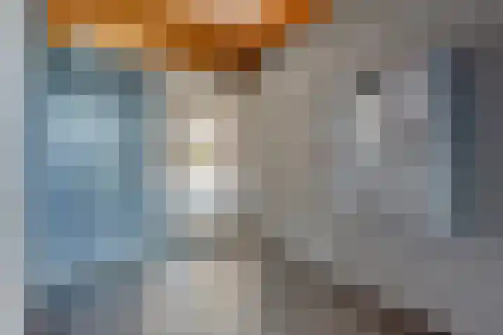 Braak 48 Veldhoven thumbnail 8