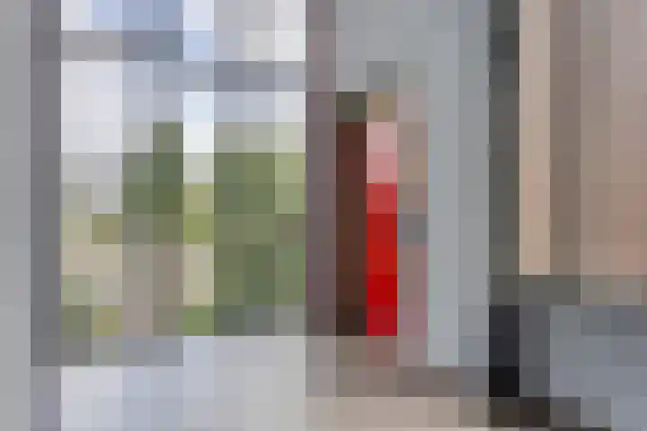 Braak 48 Veldhoven thumbnail 9
