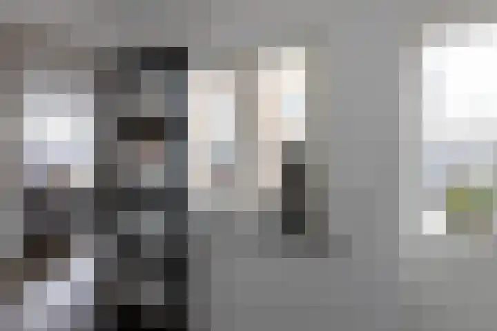 Braak 62 Neede thumbnail 10