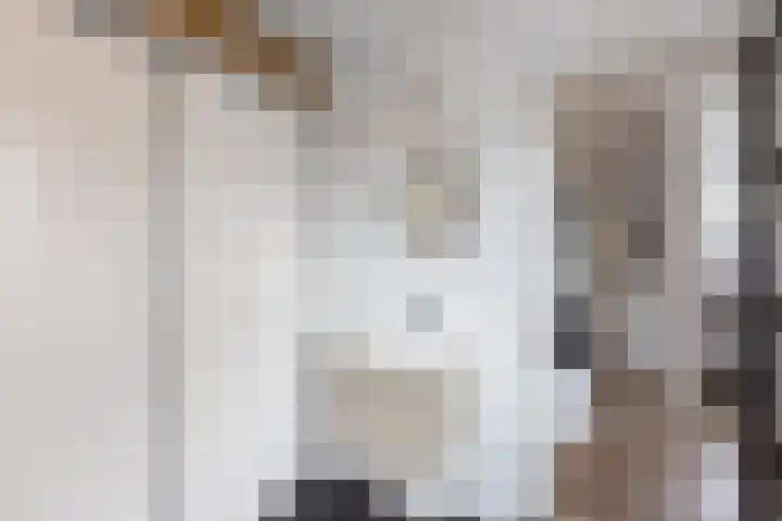 Braak 62 Neede thumbnail 12