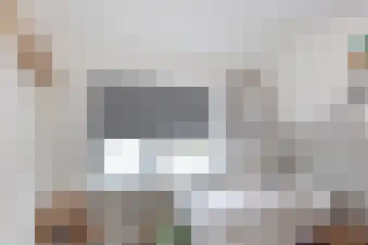 Braak 62 Neede thumbnail 18