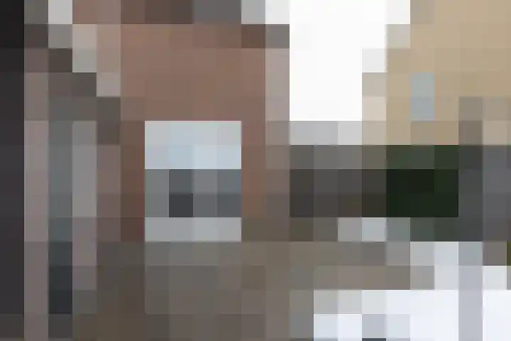 Braak 62 Neede thumbnail 27