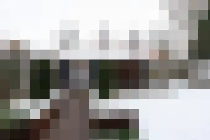 Braak 62 Neede thumbnail 30