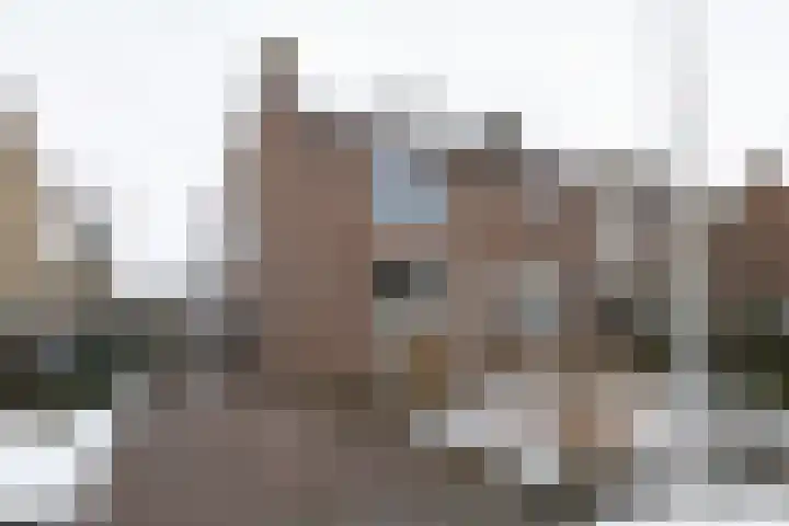 Braak 62 Neede thumbnail 32