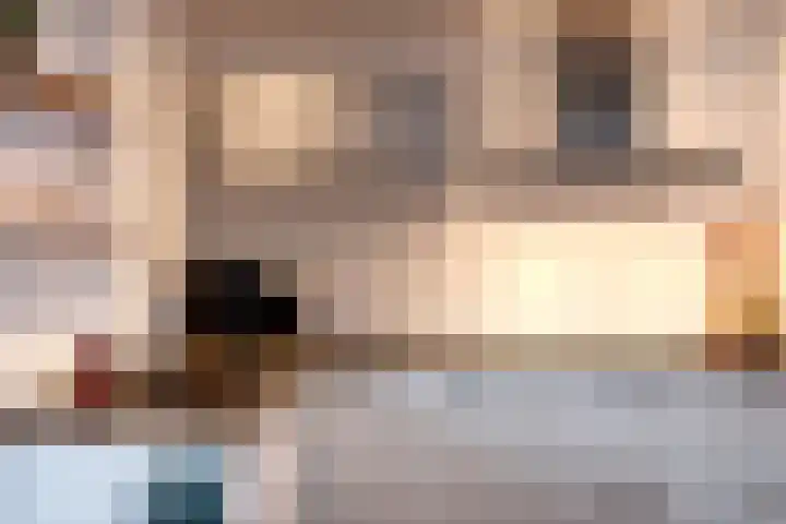 Braak 62 Neede thumbnail 8