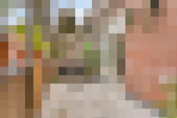 Braak 65 Veldhoven thumbnail 19