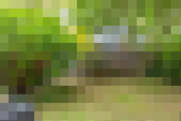 Braak 65 Veldhoven thumbnail 30