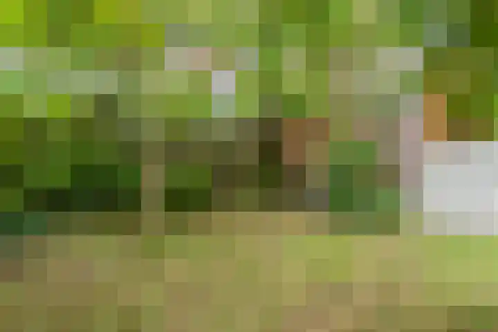 Braak 65 Veldhoven thumbnail 31