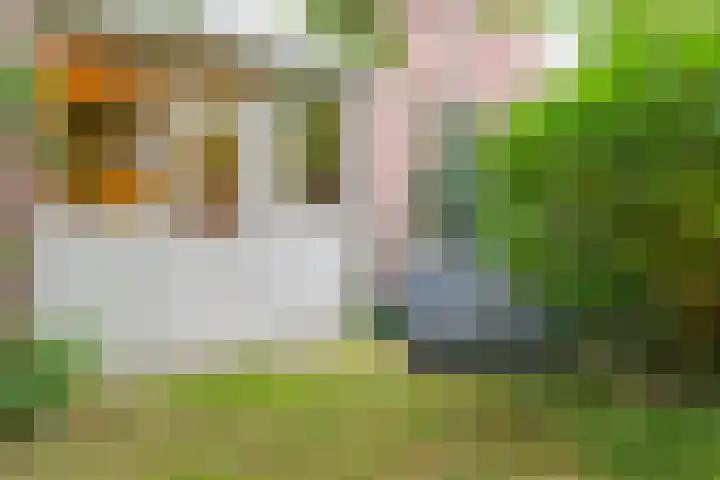 Braak 65 Veldhoven thumbnail 32