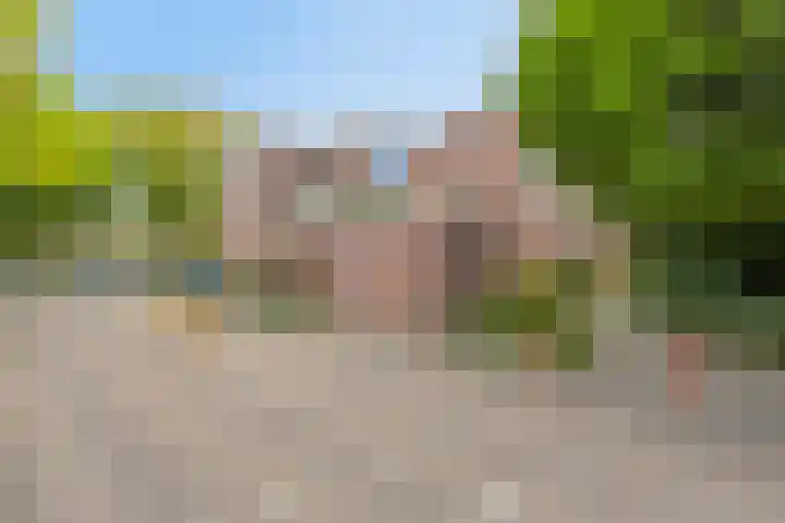 Braak 65 Veldhoven thumbnail 7